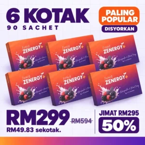 Pakej 6 kotak Zenergy+